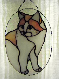 Katze