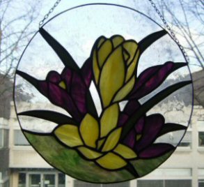 Krokusse