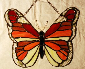 Schmetterling 1
